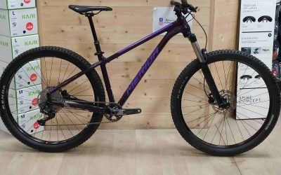 MERIDA BIG TRAIL 400